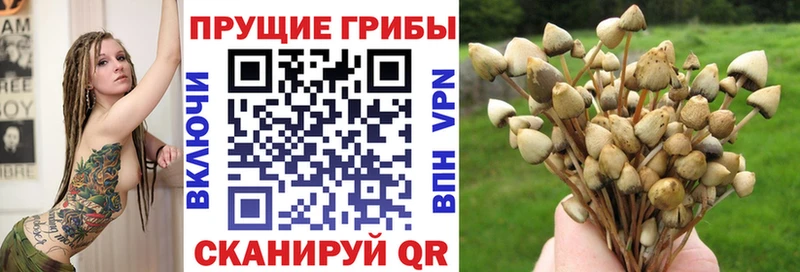 Галлюциногенные грибы MAGIC MUSHROOMS  Купить  Биробиджан 